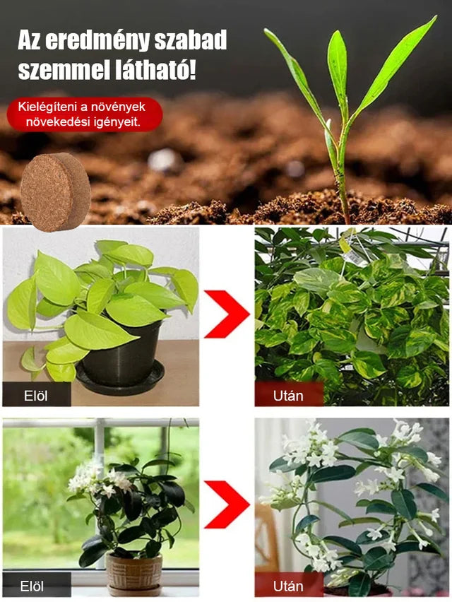 Tíz év műtrágyamentes kókuszrost talaj. Egy tégla = 10 év termékenység! Kókuszkorpa + lassan felszívódó tápanyagszemcsék, virágok és zöldségek termesztése műtrágya nélkül!